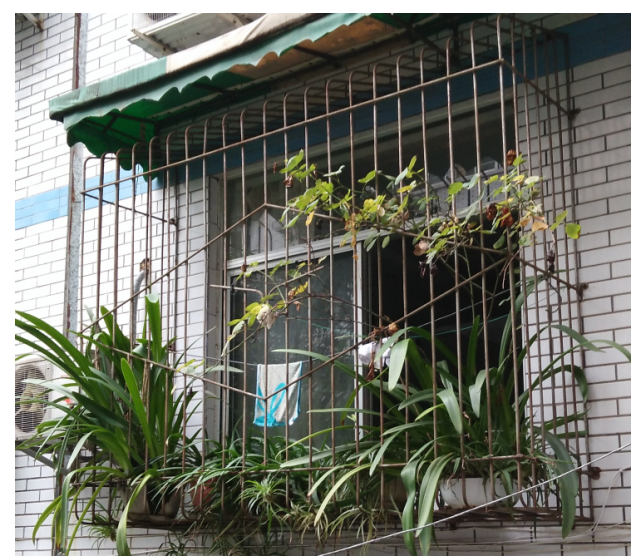 1576041122210793.png image.png